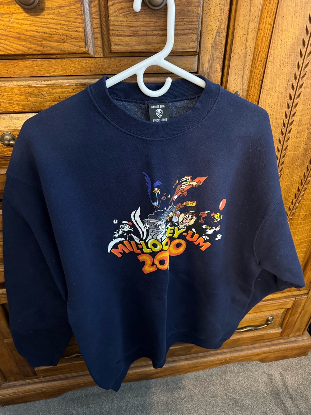 Warner Bros. Brand New Vintage Sweatshirt